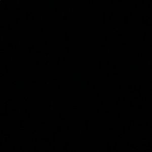 Meet your Posher, Rosie